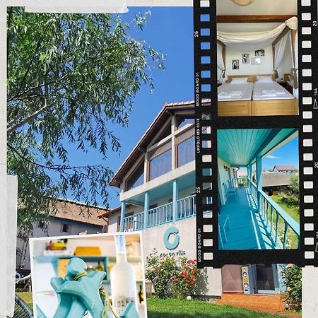 Zen Eco Villa Сфинту Джордже Екстериор снимка