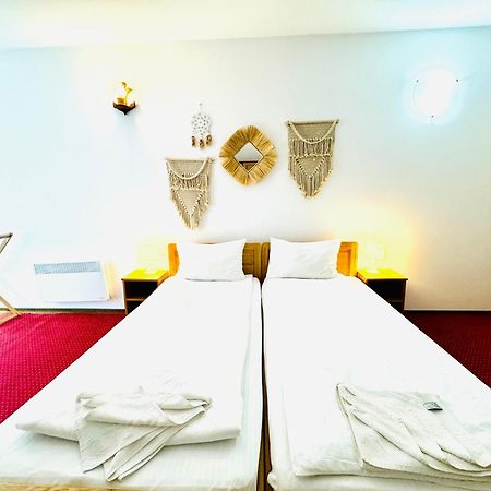 Zen Eco Villa Сфинту Джордже Екстериор снимка