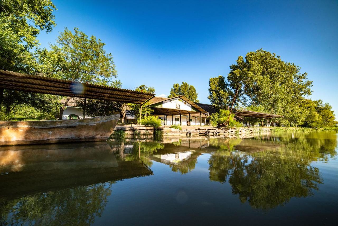 Zen Eco Villa Сфинту Джордже Екстериор снимка