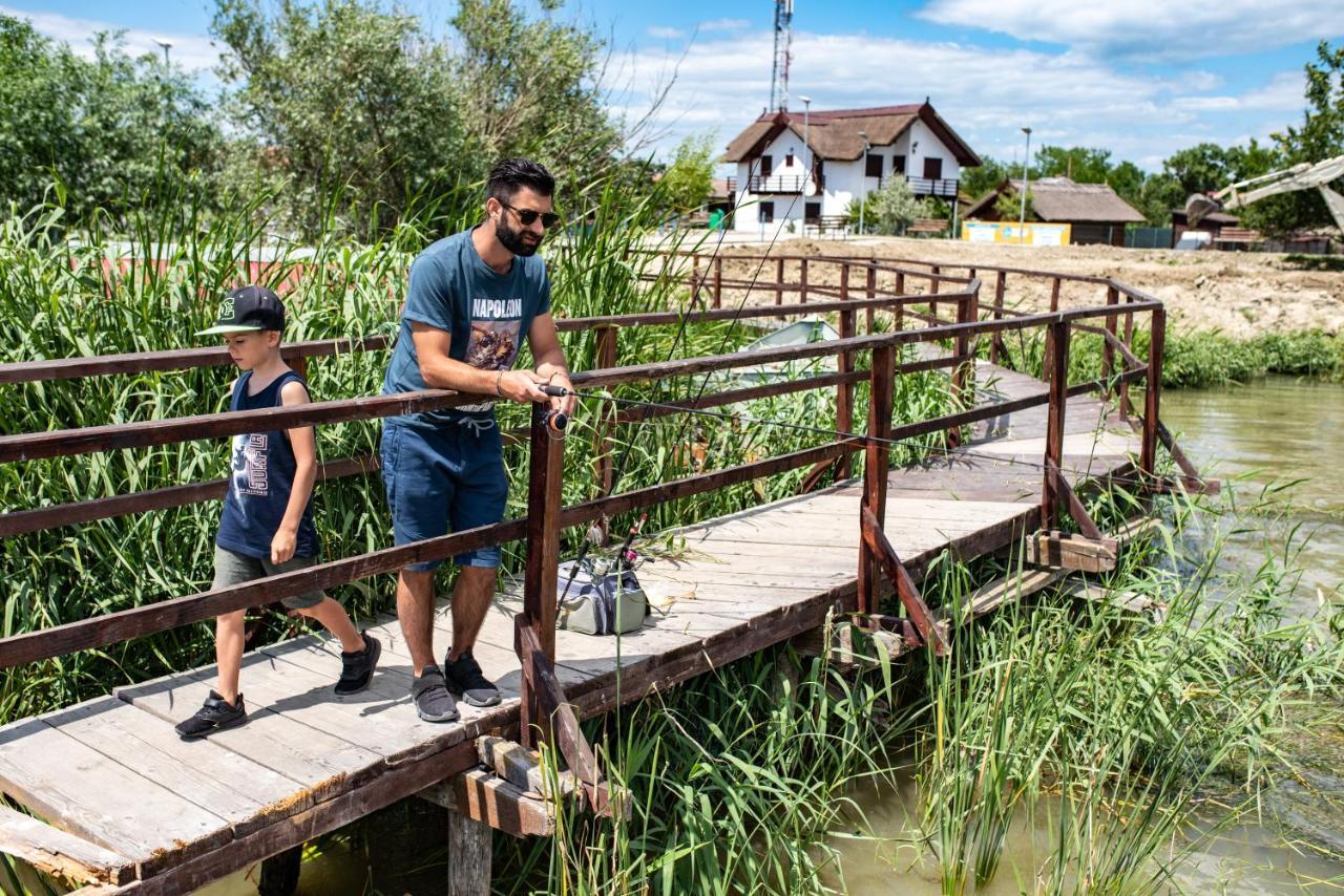 Zen Eco Villa Сфинту Джордже Екстериор снимка