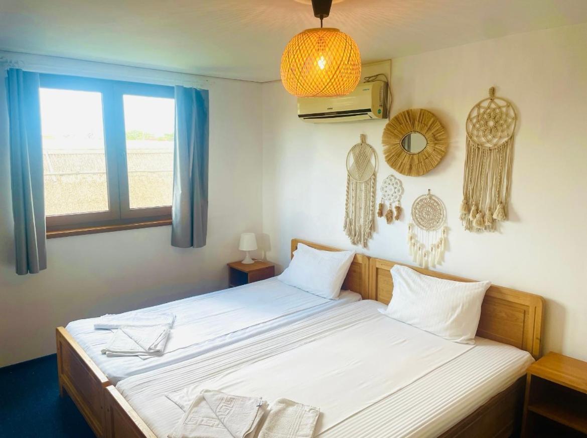 Zen Eco Villa Сфинту Джордже Екстериор снимка